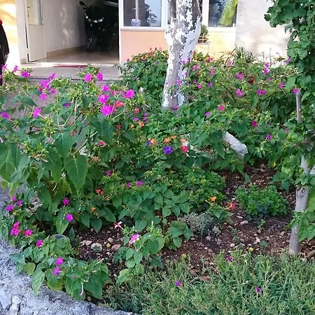 12306b * Podgora (Split-Dalmatia)